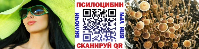 где можно купить наркотик  Анива  Псилоцибиновые грибы GOLDEN TEACHER 